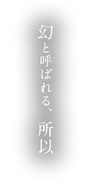 幻と呼ばれるその所以